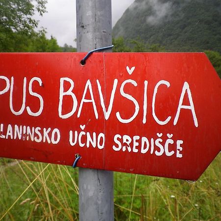Pus Bavsica Hostel Log pod Mangartom Εξωτερικό φωτογραφία